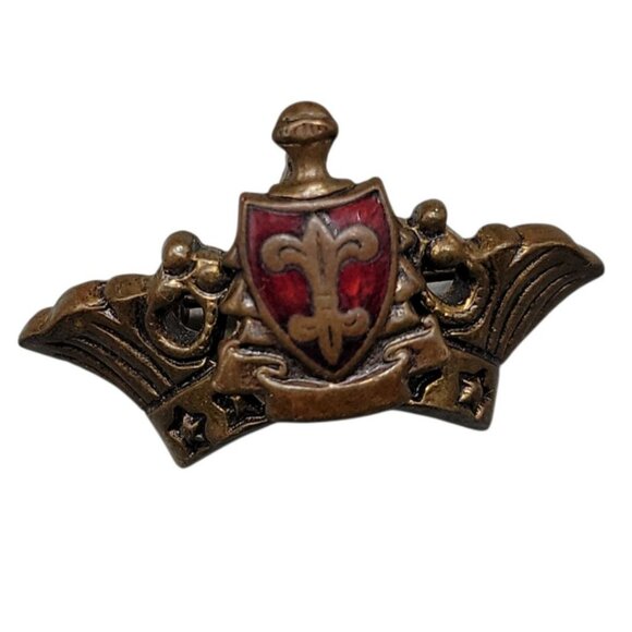 Vintage Fraternal Lapel Pin Red Enamel Shield Fleur-de-Lis Wings & Stars Badge - Picture 3 of 9